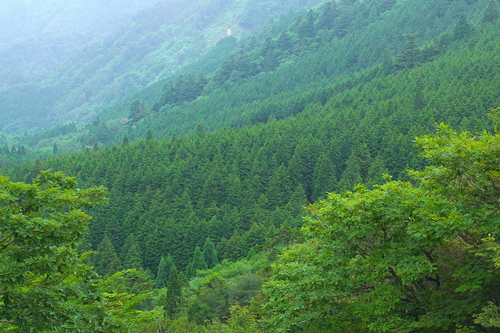 e0304001_22255331.jpg
