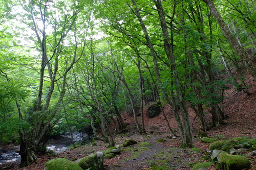e0304001_22264968.jpg