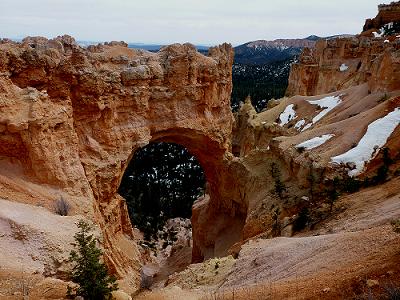 a0310405_03584562.jpg