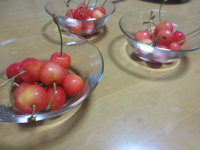 f0248616_12235235.jpg