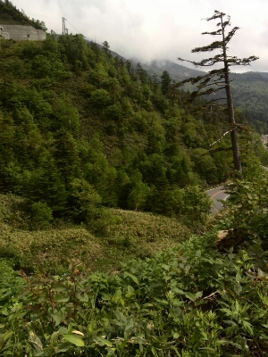 b0251624_1953311.jpg