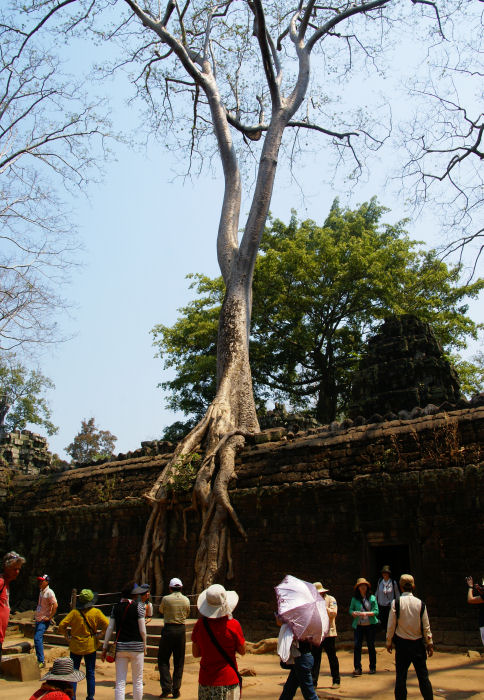 b0211627_1162274.jpg