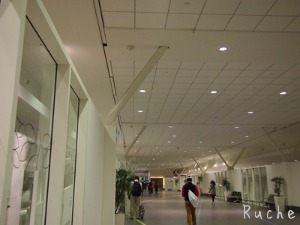 c0103830_17445431.jpg