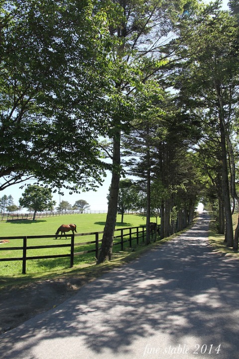 c0240132_623998.jpg