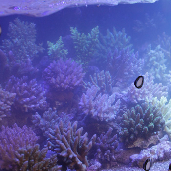 d0221436_21563645.jpg