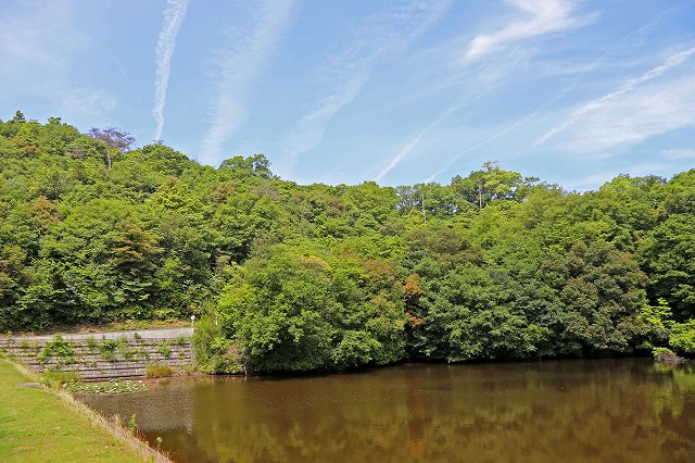 a0242438_1935190.jpg