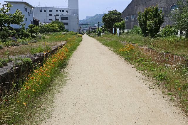 a0242438_19354858.jpg