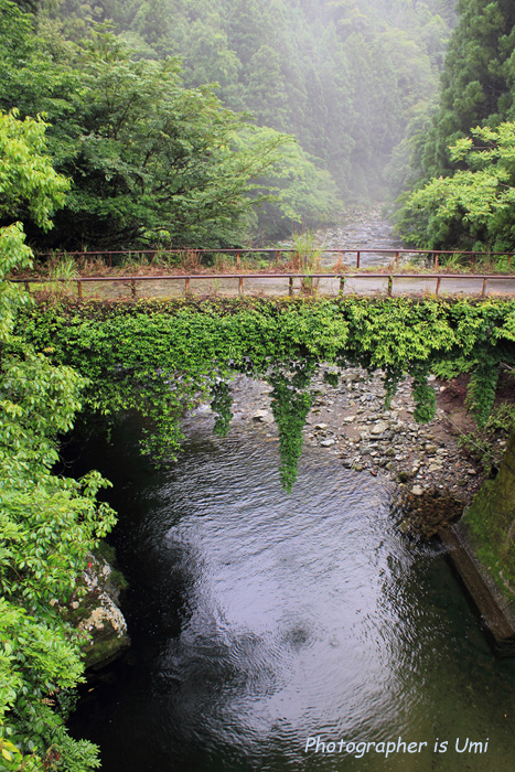e0083238_102560.jpg