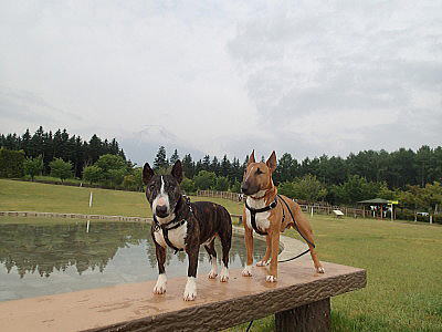 f0094843_125568.jpg