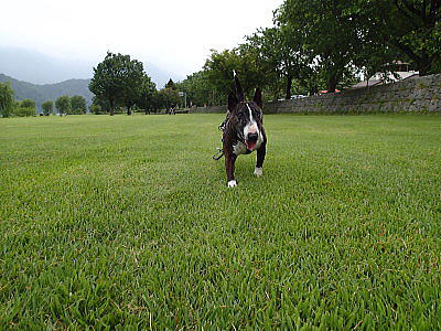 f0094843_12595121.jpg