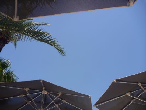 e0210347_32161.jpg