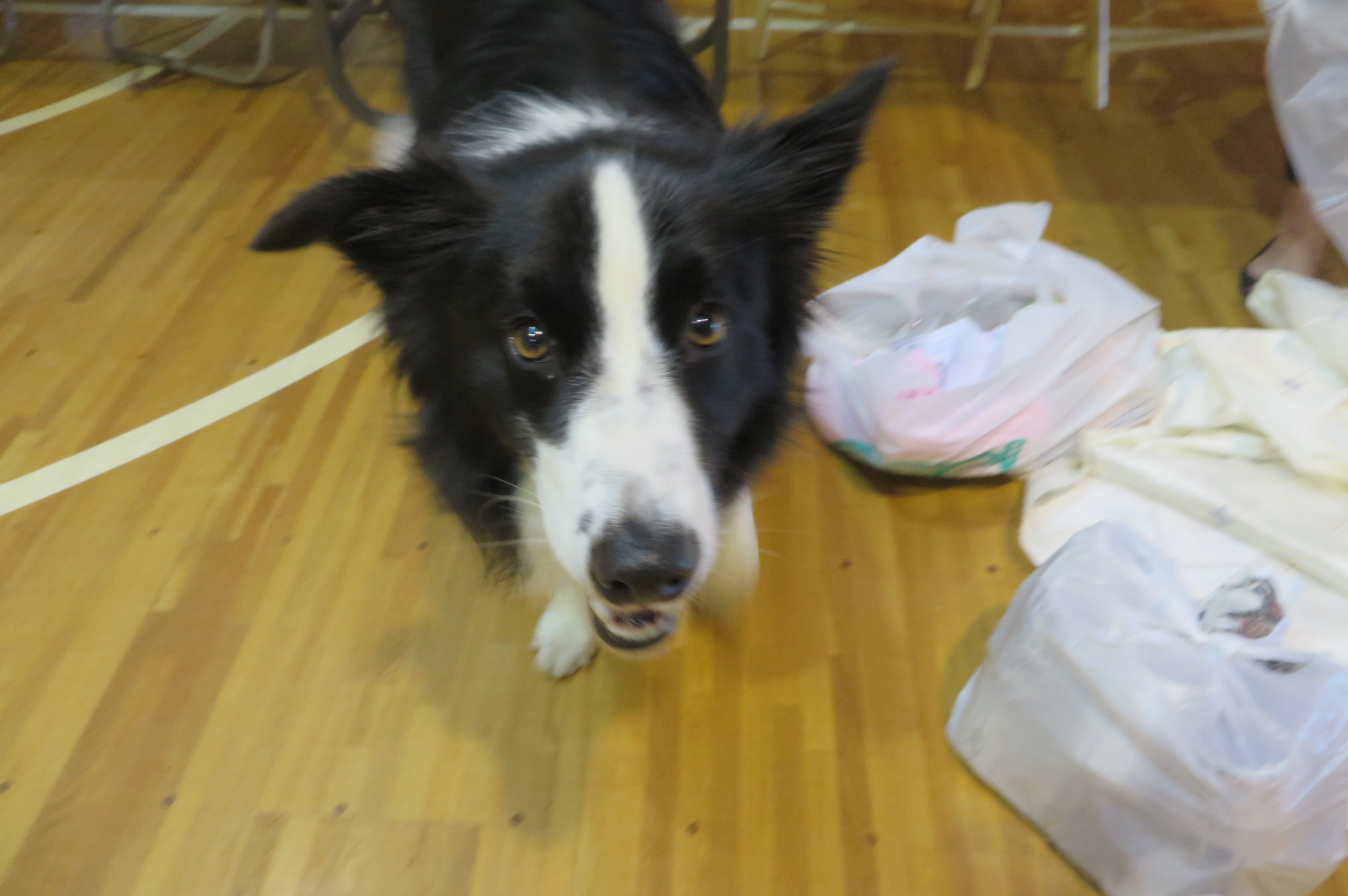 f0221648_11480190.jpg