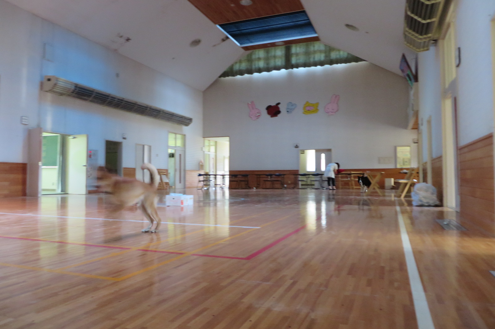 f0221648_11511150.jpg