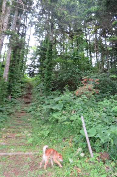 f0221648_12441273.jpg