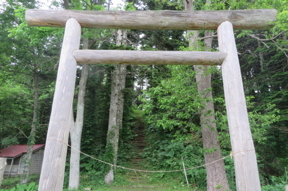 f0221648_12451483.jpg