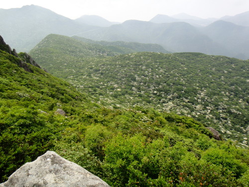 c0179351_20512040.jpg