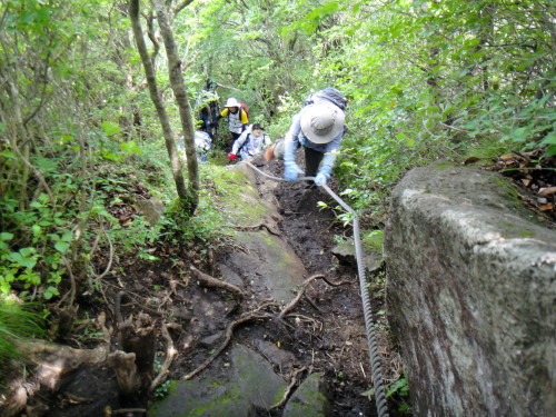 c0179351_20515535.jpg