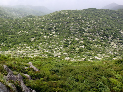 c0179351_20532976.jpg