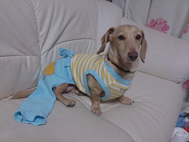 c0245751_00030393.jpeg