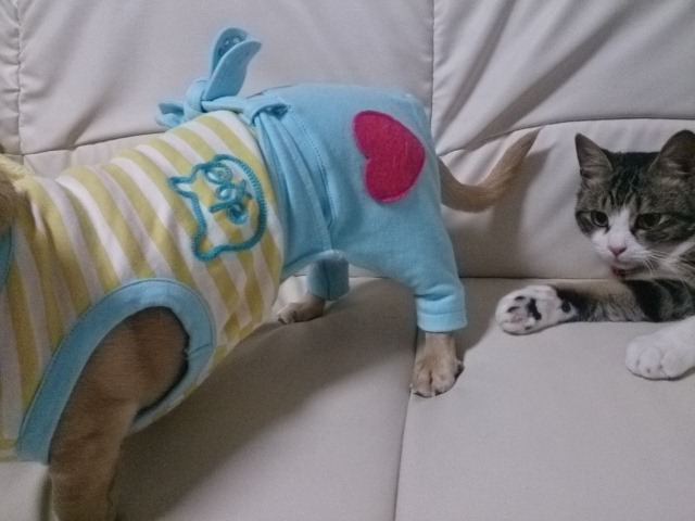 c0245751_00030929.jpeg