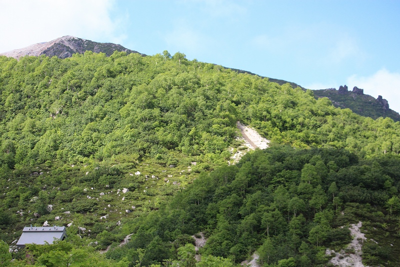 b0250154_22365014.jpg