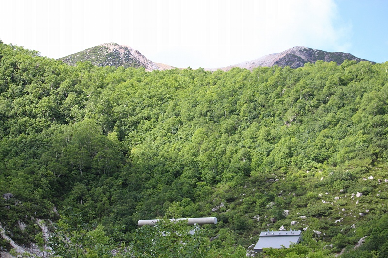 b0250154_2236968.jpg