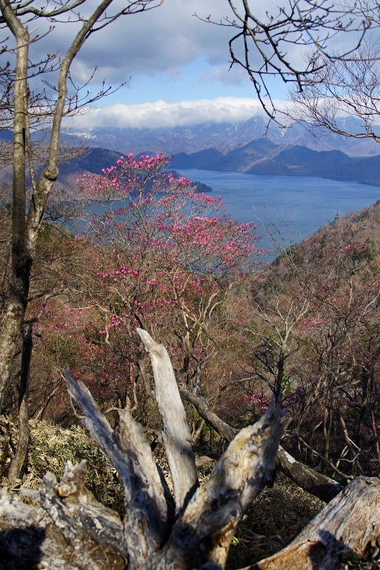 e0229455_00061594.jpg