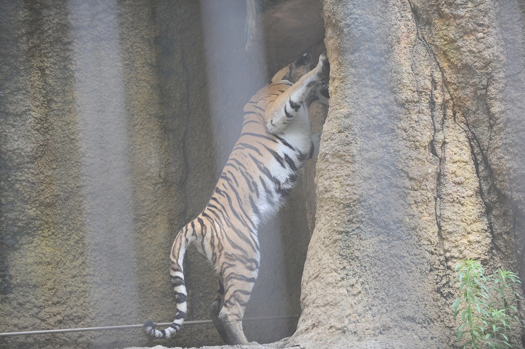 a0142056_1649160.jpg