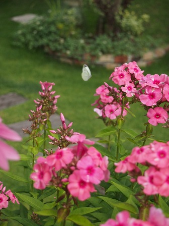 b0246758_20410566.jpg