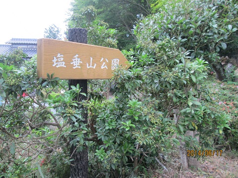 d0029363_2113936.jpg