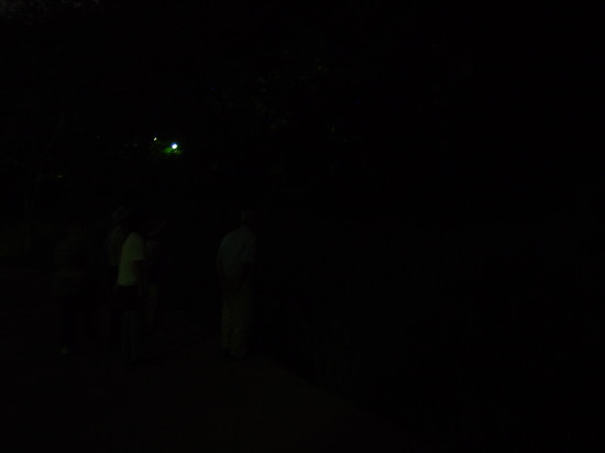 c0122670_22221736.jpg