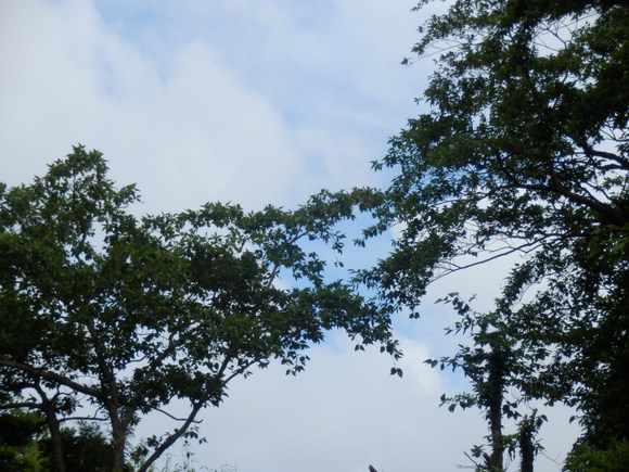 e0292172_20501882.jpg