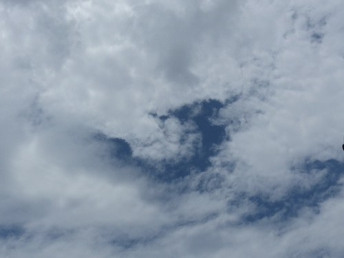 a0002177_14351175.jpg