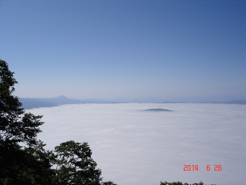 d0165378_8532227.jpg
