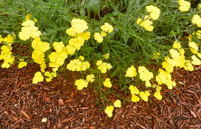 d0260278_1519666.jpg