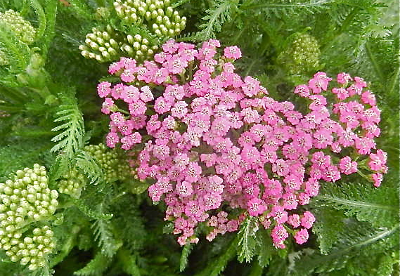d0260278_15252053.jpg