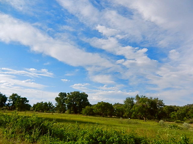 d0260278_1575595.jpg