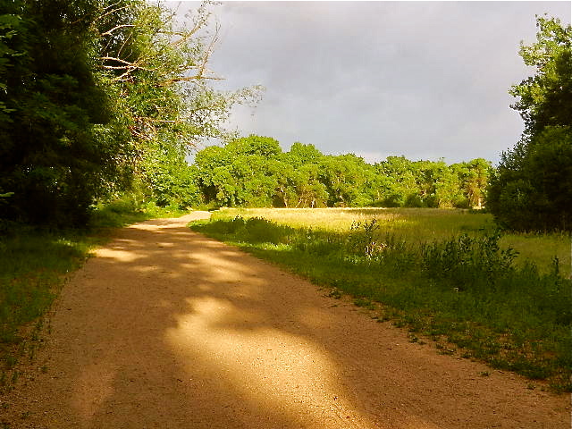 d0260278_1594183.jpg