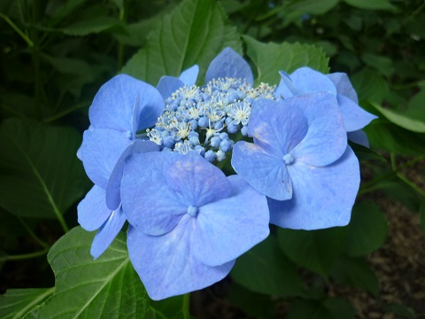 f0194690_16443377.jpg