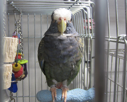 f0234590_16115392.png