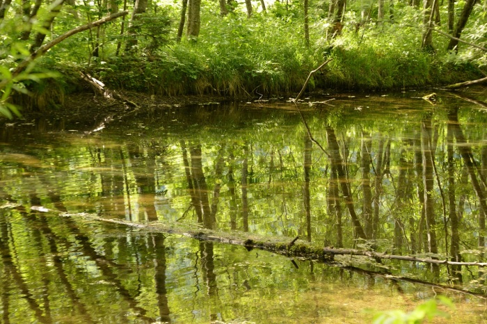 f0268294_23040442.jpg