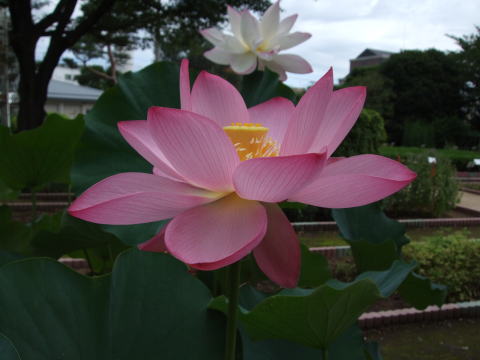 f0201297_6353823.jpg