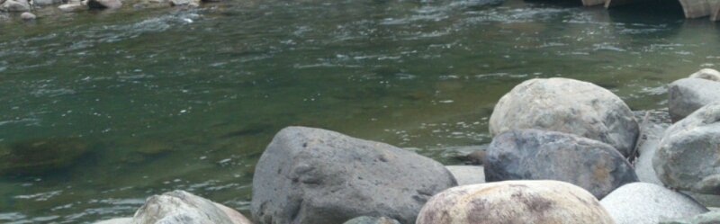 f0266202_21504020.jpg