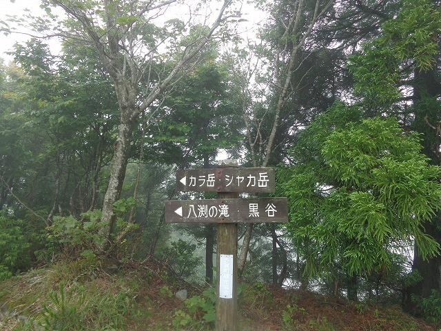 b0326303_16533684.jpg