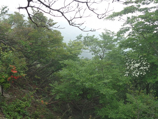 b0326303_16552918.jpg