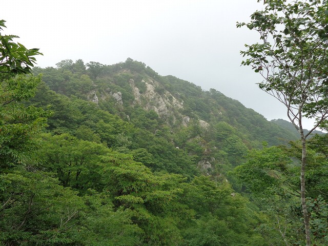 b0326303_16560273.jpg
