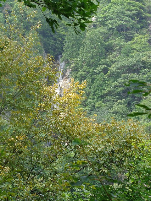 b0326303_16595243.jpg