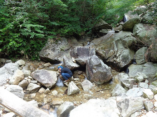 b0326303_17010806.jpg