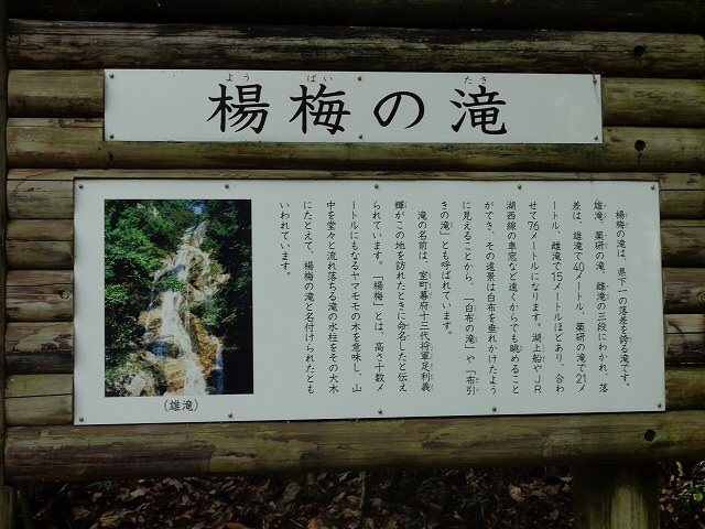 b0326303_17012380.jpg