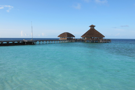d0298808_15335494.jpg